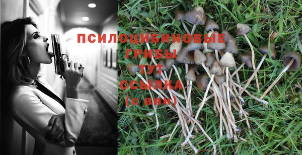 гашик Зерноград